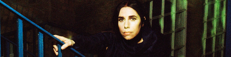 The unvarnished truth - With &quot;The Hope Six Demolition Project&quot; PJ HARVEY holds America up to the mirror