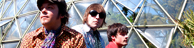 VIBRAVOID - Bewusstseins-Revolution am Ende?