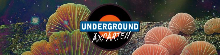Underground Trips Mai 2018
