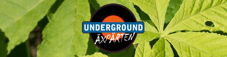 Underground Trips April 2019