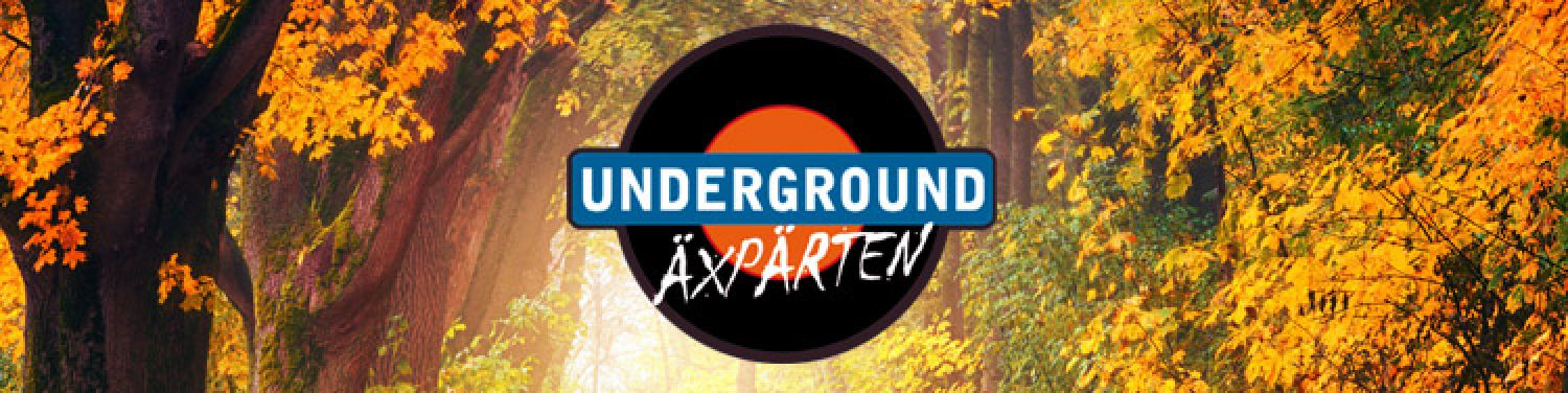 Underground Trips November 2022 Underground Trips November 2022